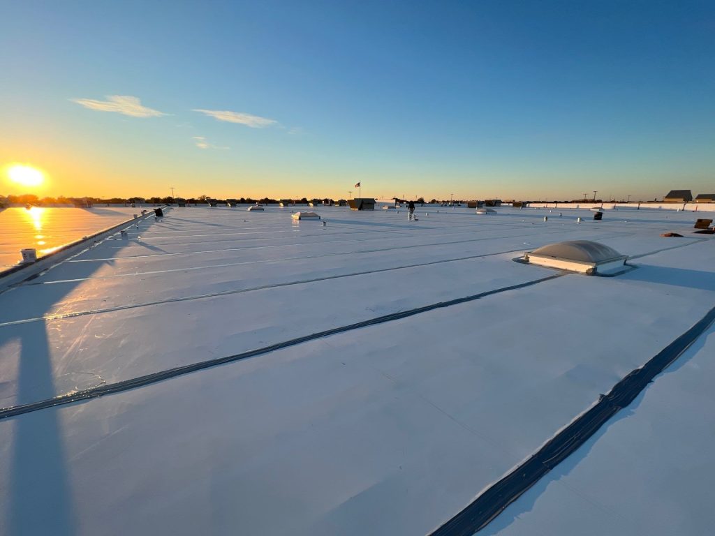 019be779 c9f0 7008 b109 b18425daaa0e