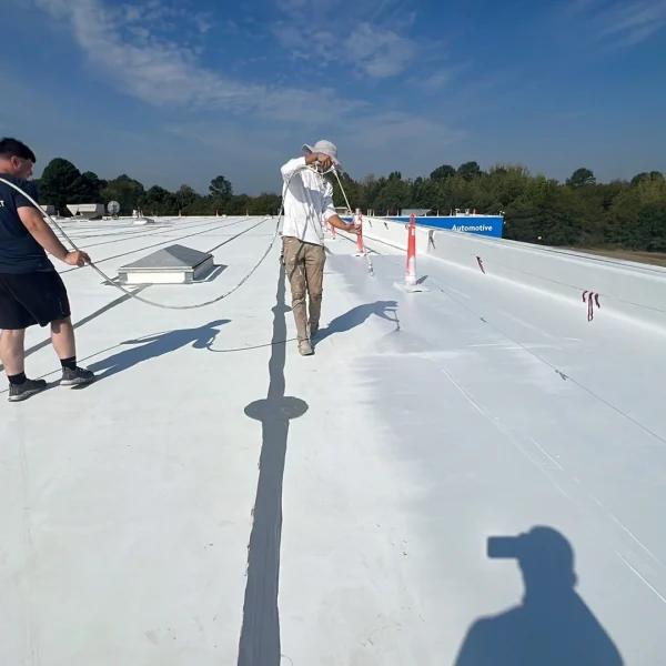 down-net_http20250516-73-nff8rf